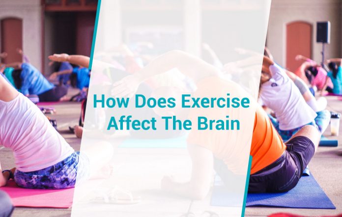 how-does-exercise-affect-the-brain