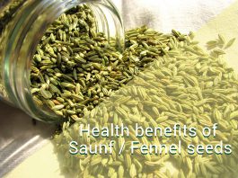 Saunf / Fennel seeds