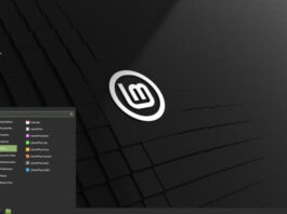 Linux Mint 20.1 beta arrives | ZDNet
