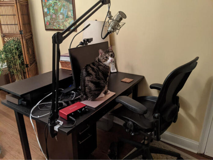 What's inside MJF's tiny home office? Too much podcast equipment | ZDNet
