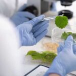 The Role Of Specialty Chemicals In Sustainable Manufacturing