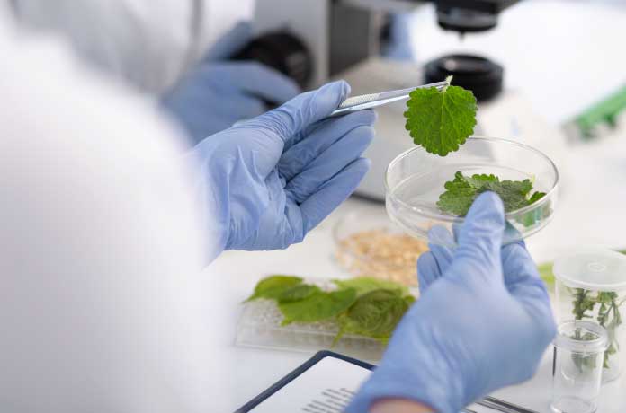 The Role Of Specialty Chemicals In Sustainable Manufacturing