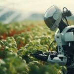 AI & ML Transforming Modern Agriculture