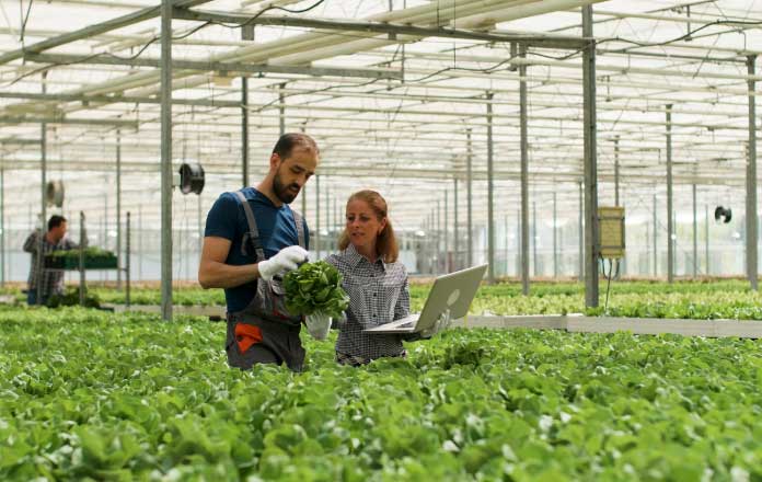 Agritech Revolutionize Agriculture