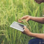 Data-Driven Farming Empowering Smallholder Farmers