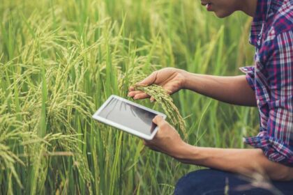 Data-Driven Farming Empowering Smallholder Farmers