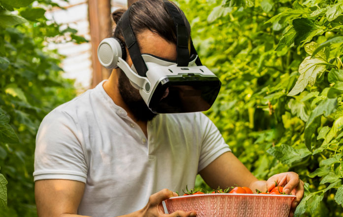 VR & AR Revolutionize Agriculture